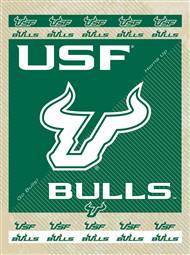 University of South Florida 24x32 Canvas Wall Art