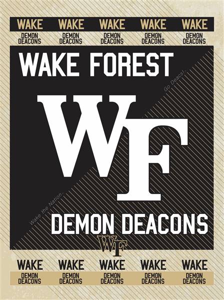 Wake Forest University 24x32 Canvas Wall Art