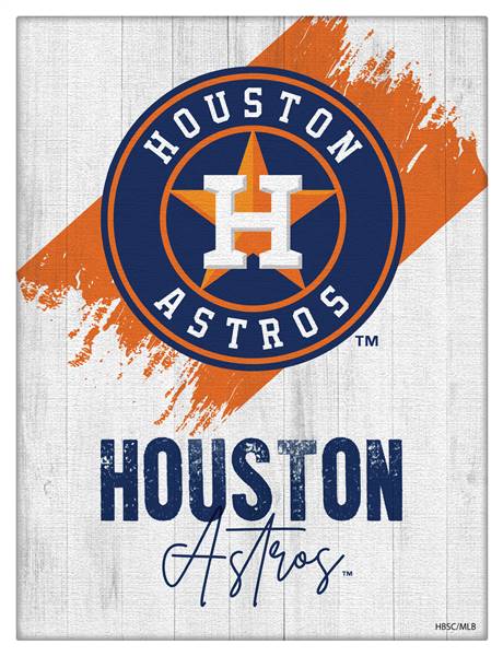 Houston Astros 15 X 20 inch Canvas Wall Art