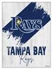 Tampa Bay Rays 15 X 20 inch Canvas Wall Art
