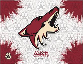 Arizona Coyotes 15x20 inches Canvas Wall Art