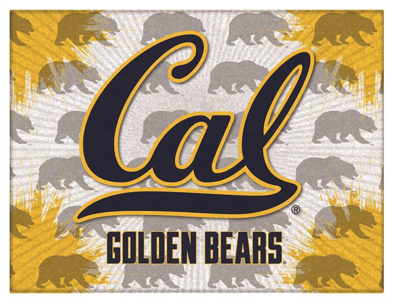 University of California 15x20 inches Canvas Wall Art