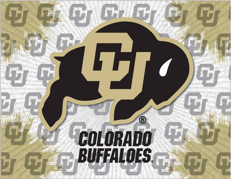 University of Colorado 15x20 inches Canvas Wall Art