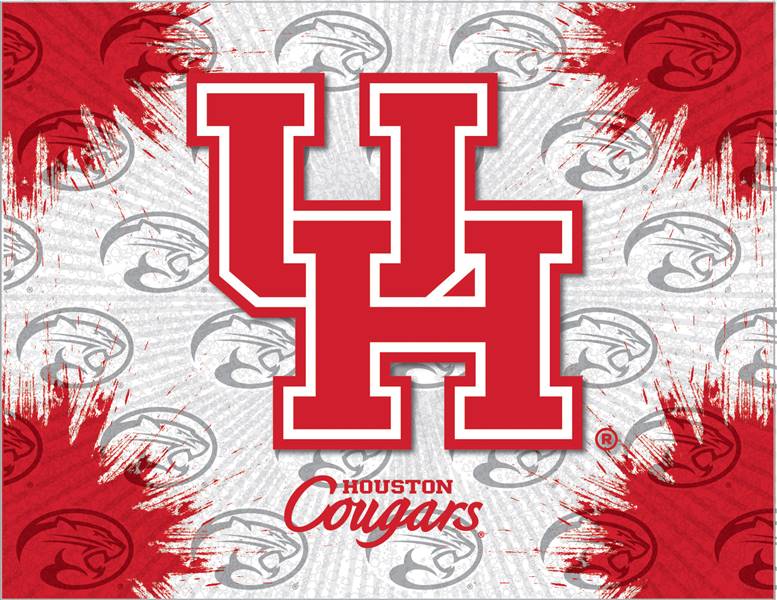 University of Houston 15x20 inches Canvas Wall Art