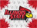 Illinois State University 15x20 inches Canvas Wall Art