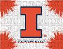 University of Illinois 15x20 inches Canvas Wall Art