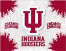 Indiana University 15x20 inches Canvas Wall Art