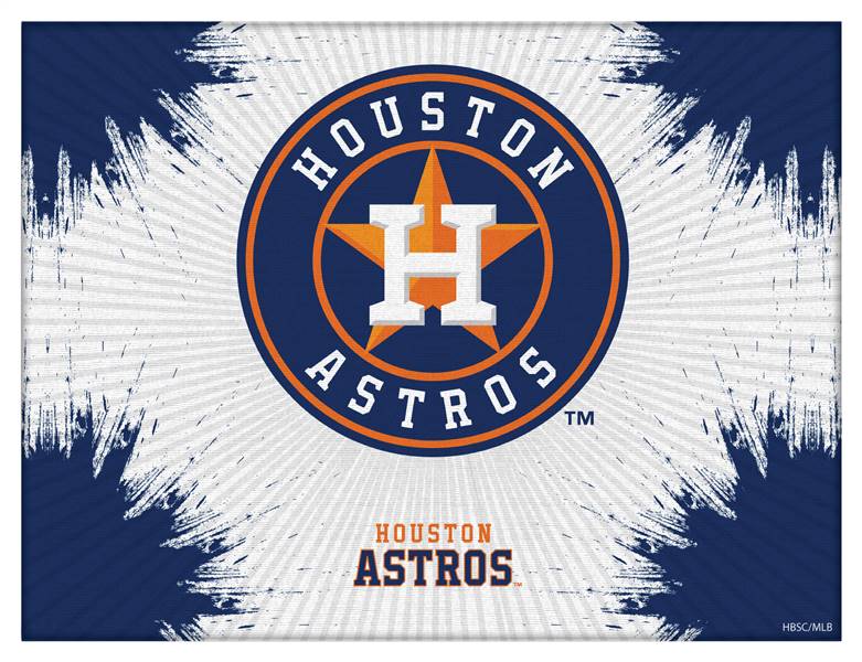 Houston Astros 15 X 20 inch inch Canvas Wall Art