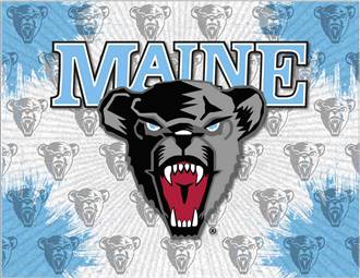 University of Maine 15x20 inches Canvas Wall Art