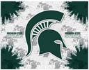 Michigan State University 15x20 inches Canvas Wall Art