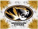 University of Missouri 15x20 inches Canvas Wall Art