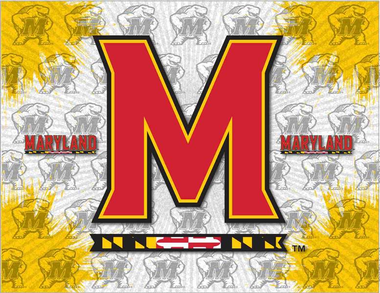 University of Maryland 15x20 inches Canvas Wall Art