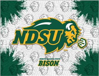 North Dakota State University 15x20 inches Canvas Wall Art