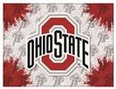 Ohio State University 15x20 inches Canvas Wall Art