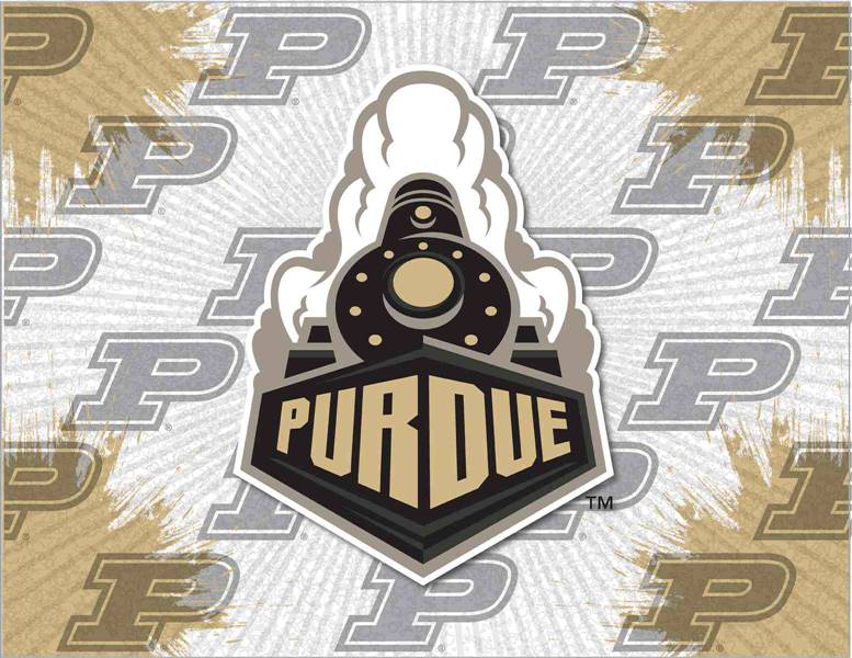 Purdue 15x20 inches Canvas Wall Art