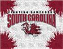 University of South Carolina 15x20 inches Canvas Wall Art