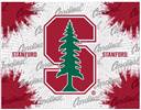 Stanford University 15x20 inches Canvas Wall Art