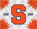 Syracuse University 15x20 inches Canvas Wall Art