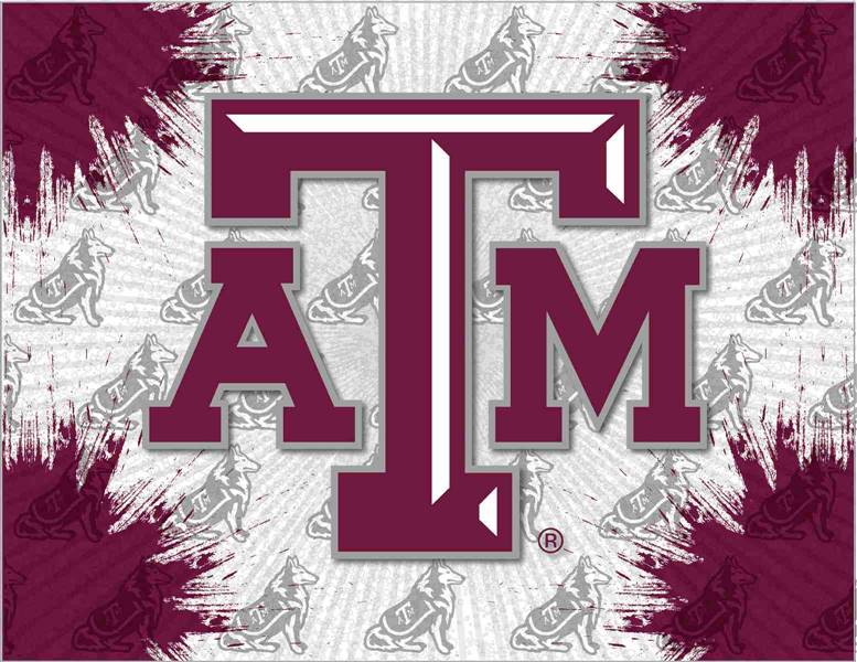 Texas A&M 15x20 inches Canvas Wall Art