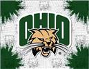 Ohio University 15x20 inches Canvas Wall Art