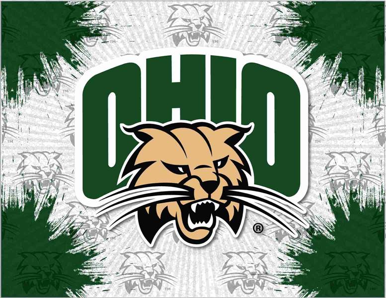 Ohio University 15x20 inches Canvas Wall Art