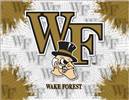 Wake Forest University 15x20 inches Canvas Wall Art