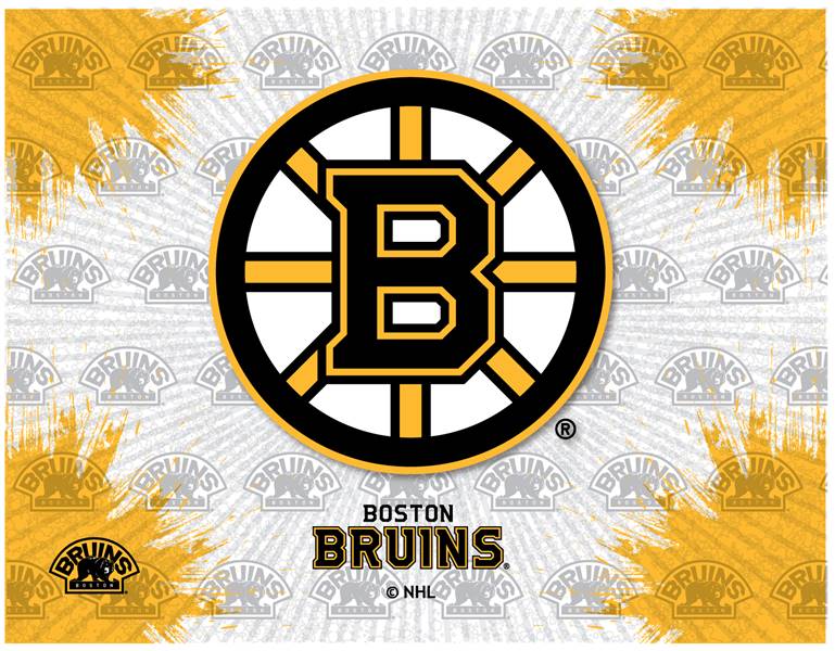 Boston Bruins 24x32 Canvas Wall Art