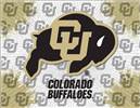 University of Colorado 24x32 Canvas Wall Art