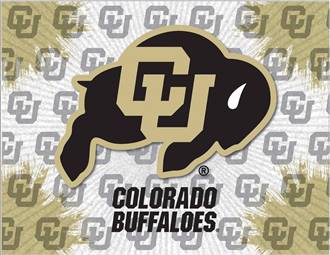 University of Colorado 24x32 Canvas Wall Art