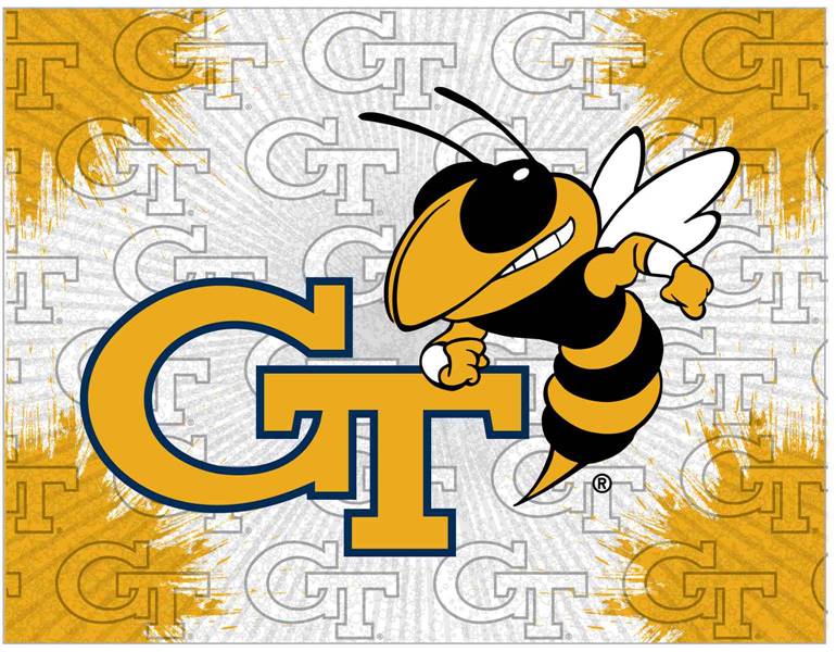 Georgia Tech 24x32 Canvas Wall Art