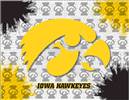 University of Iowa 24x32 Canvas Wall Art