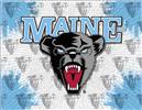 University of Maine 24x32 Canvas Wall Art