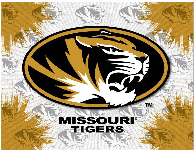 University of Missouri 24x32 Canvas Wall Art