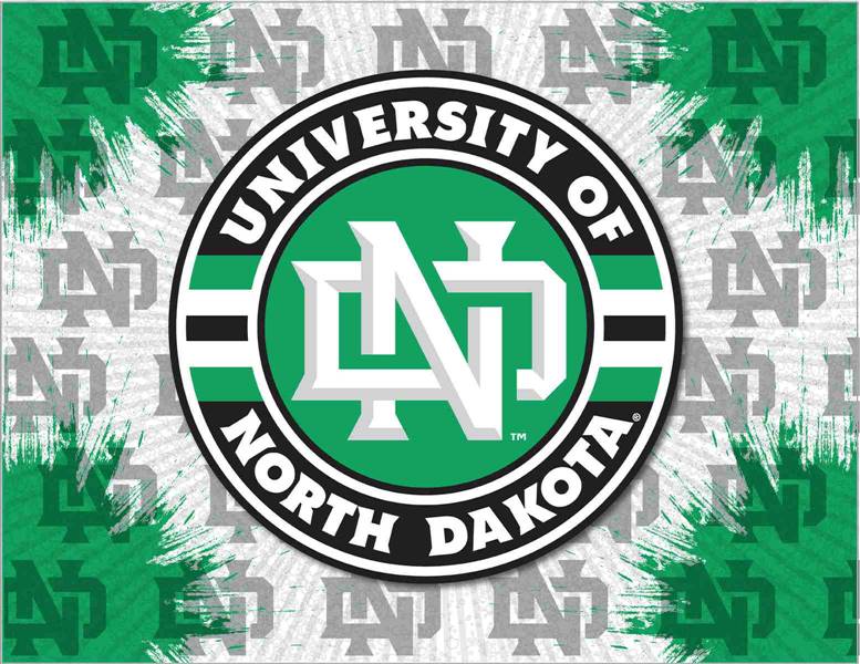 University of North Dakota 24x32 Canvas Wall Art