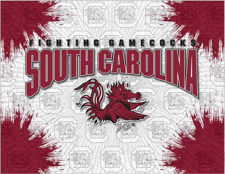 University of South Carolina 24x32 Canvas Wall Art