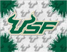 University of South Florida 24x32 Canvas Wall Art