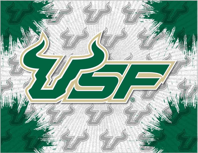 University of South Florida 24x32 Canvas Wall Art