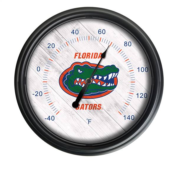 Florida Indoor/Outdoor LED Thermometer