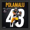 Troy Polamalu Pittsburgh Steelers Impact Jersey Frame    