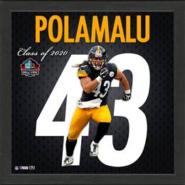 Troy Polamalu Pittsburgh Steelers Impact Jersey Frame  