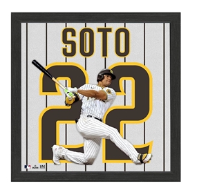 Juan Soto San Diego Padres IMPACT Jersey Frame  