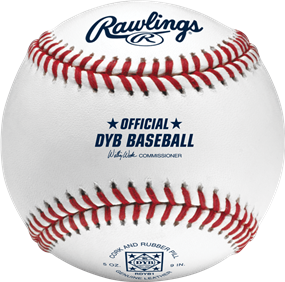 Rawlings Dixie Youth Baseball Competition Grade Baseball (1 Dozen Balls)