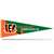 Cincinnati Bengals MMP Middle Man Pennant 