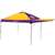 Minnesota Vikings Canopy Tent 10 X 10 with Pop Up Side Wall - Includes a Carry Bag - Rawlings      