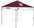Texas A&M Aggies 9 X 9 Canopy - Tailgate Shelter Tent with Carry Bag - Rawlings      