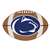 Penn State Nittany Lions Football Mat  