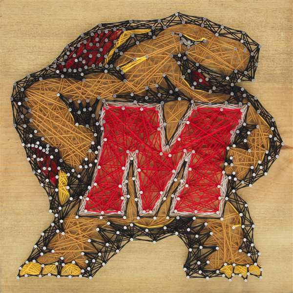 University of Maryland Terrapins String Art Kit