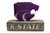 Kanasas State Wildcats Powercat Painted Stone Mascot  