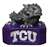 TCU Texas Christian Horned Frogs Painted Stone Mascot  