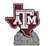 Texas A&M Aggies Logo Painted Stone Mascot
